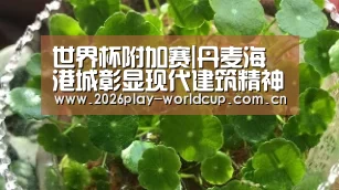 世界杯附加赛